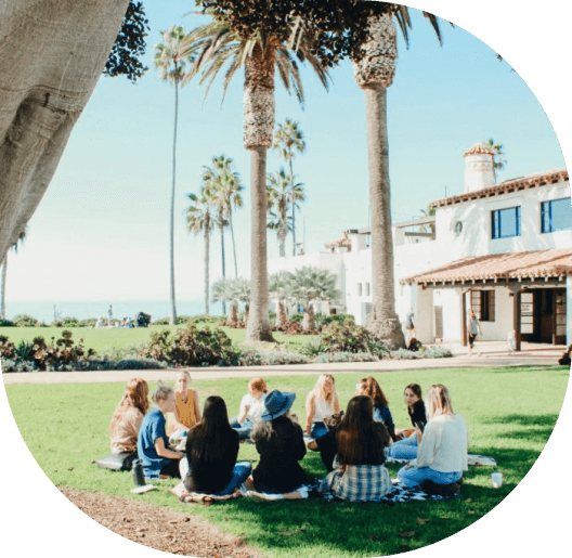 A group of people sitting in the grass near some palm trees.